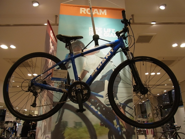 giant roam x road