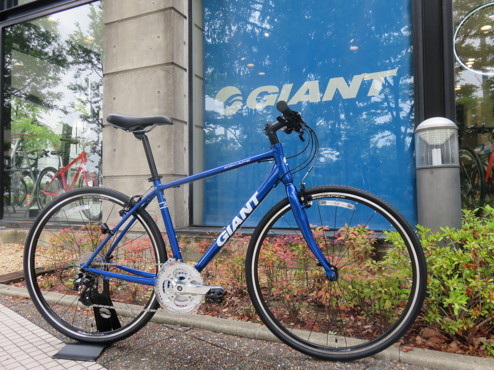 GIANT ESCAPE R3 2019年式 クロスバイク - 自転車本体