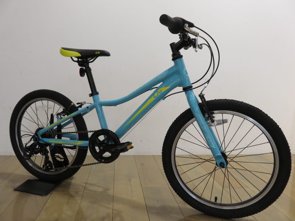 LIV キッズ　自転車　バイク　おしゃれ IMG_7487-1024x768.jpg