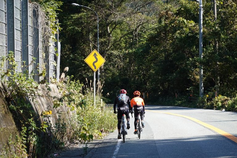 アシスト自転車 峠超えも楽ですか