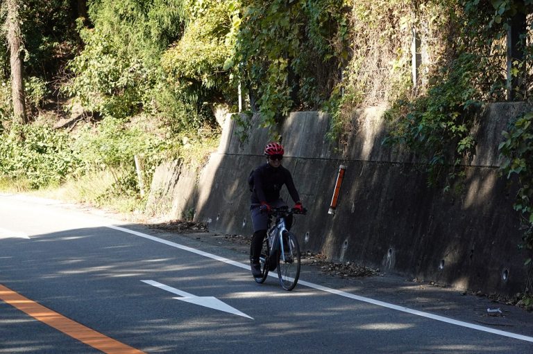 アシスト自転車 峠超えも楽ですか