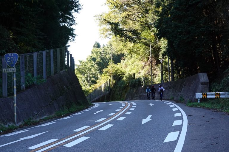 アシスト自転車 峠超えも楽ですか