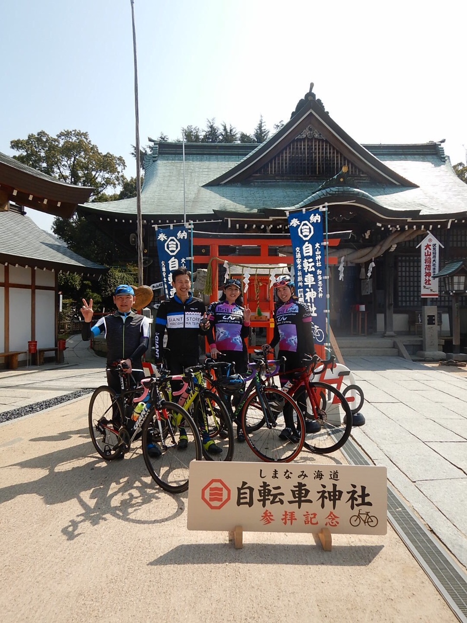 giant town bike