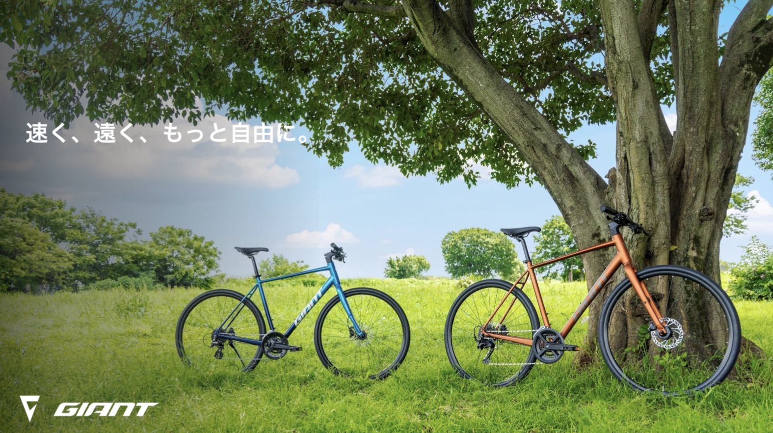 クロスバイク】新型Escape RXシリーズ登場 ｜ ジャイアントストア今治