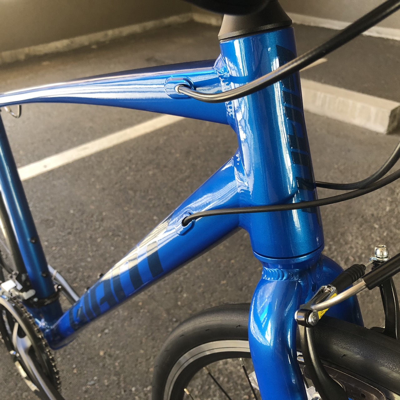 GIANT クロスバイク ESCAPE RX3 ブルー 青 ジャイアント - 自転車本体