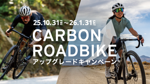 配送不可】ジャイアント テン 20インチ クロ(東京都江東区引渡し