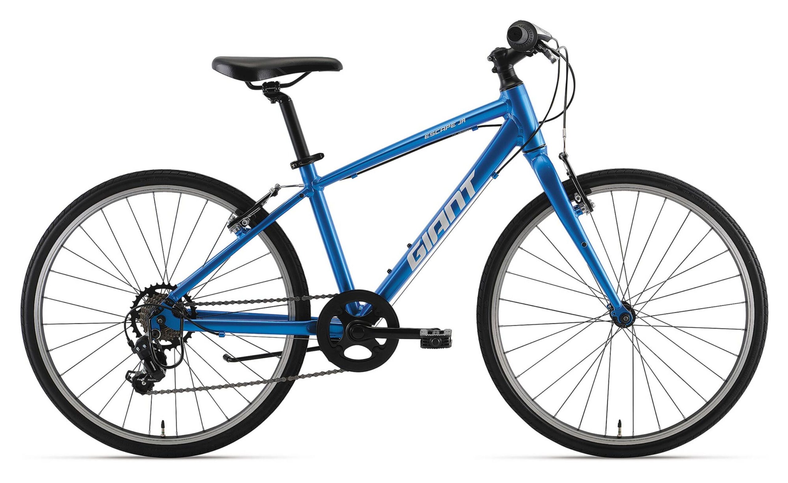 大人女性の GIANT/Liv:キッズバイク在庫状況（国立店）2025/7/3 自転車本体