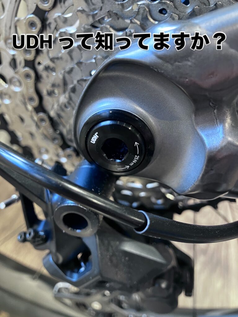 UDH ユニバーサルディレイラーハンガー ｜ ジャイアントストア松山