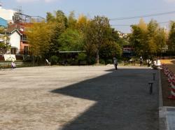 park4.jpg