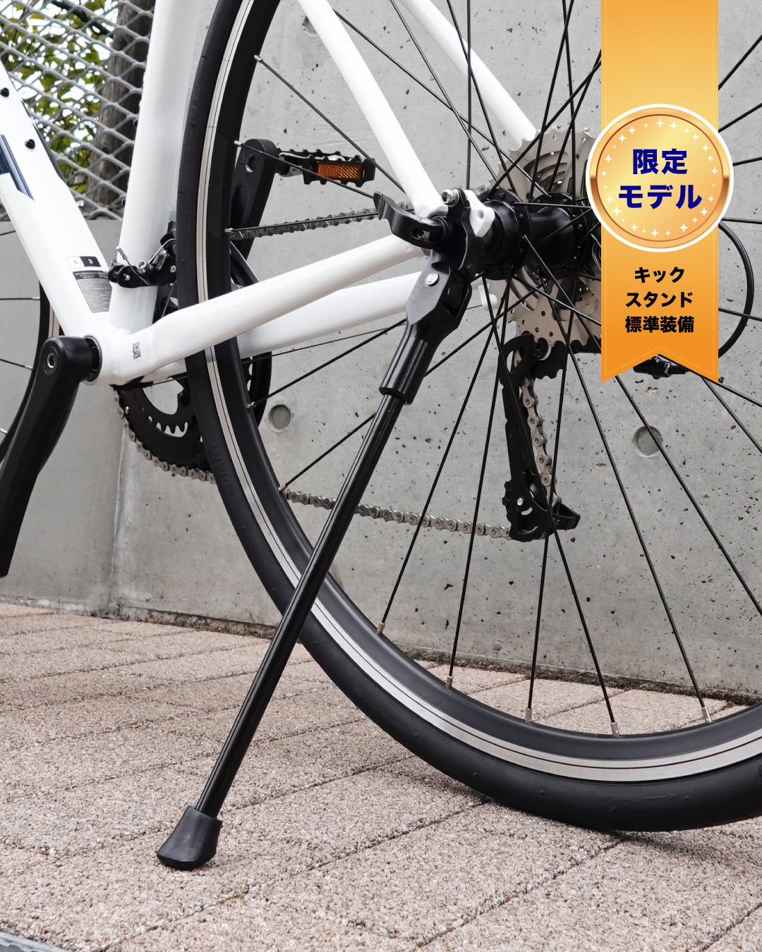 2023年春の特別モデルのご案内 ｜ ジャイアントストア南紀白浜