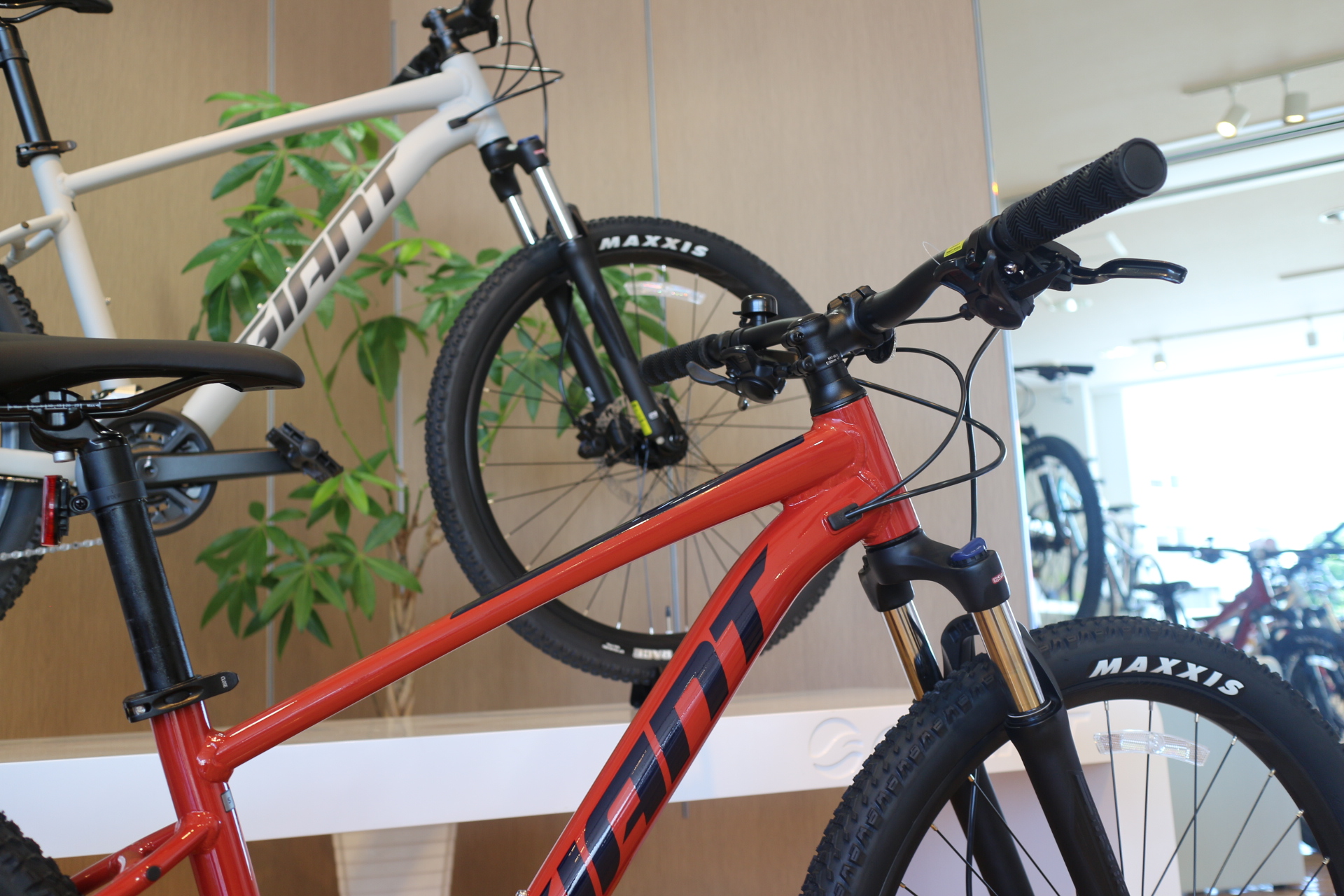 giant talon 2 29er 2021 review