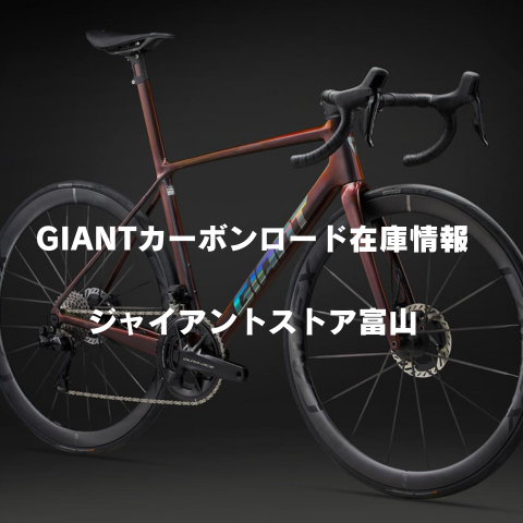 富山市近郊引取限定】ジャイアント マウンテンバイク 両輪ディスク