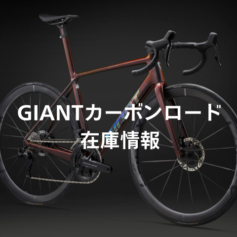 【富山市近郊引取限定】ジャイアント　マウンテンバイク　両輪ディスク バイク ｜ ジャイアントストア富山