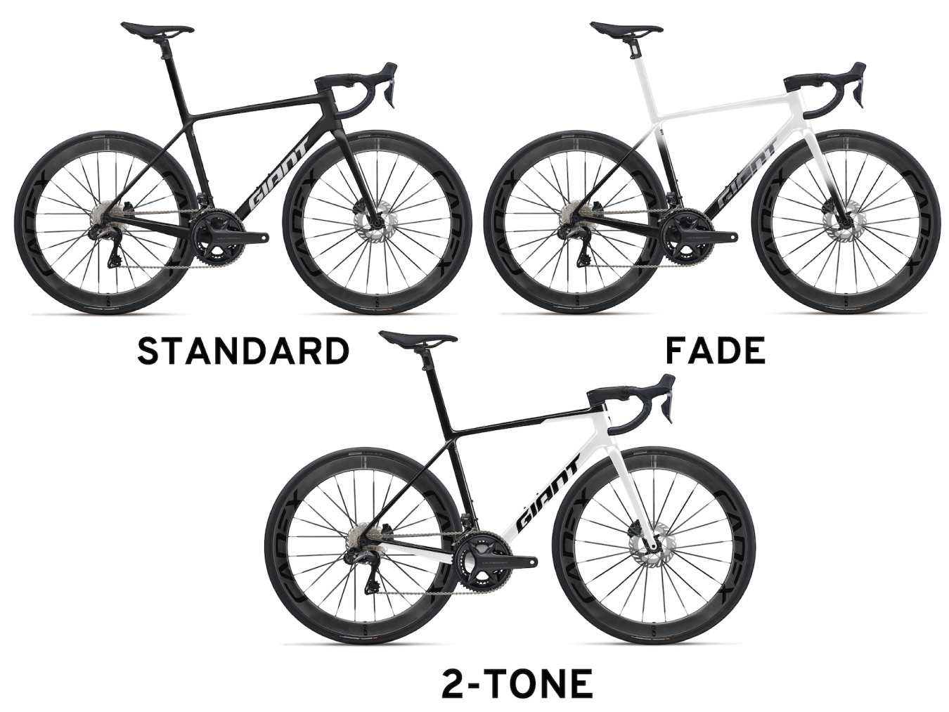ついに始まります！カスタムペイントプログラム